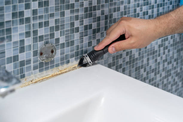 Best Mold Removal Company Near Me  in White City, UT